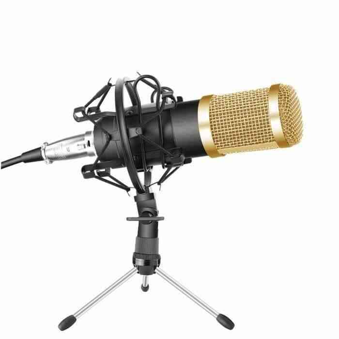 BM800 Microphone Professionnel pour Radiodiffusion &amp Enregistrement Studio A45478