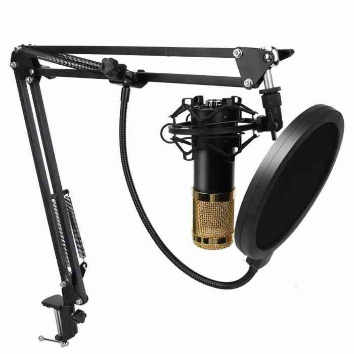 LIZ® BM-800 Studio denregistrement à microphone à condensateur Enregistrement de diffusion avec kit de cadre