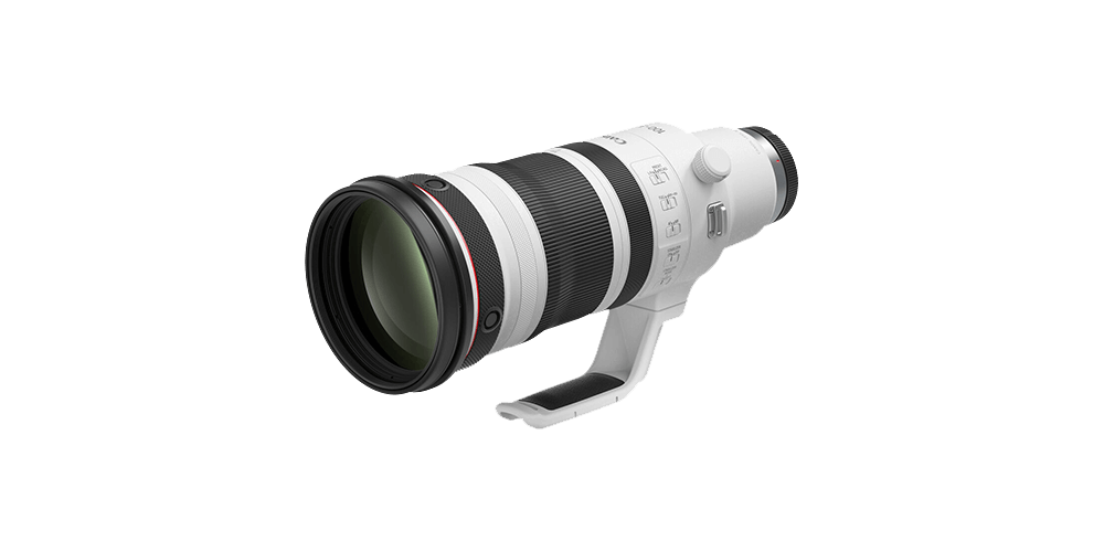 Le zoom ultime: l'objectif Canon RF100-300 mm F2.8 L IS USM