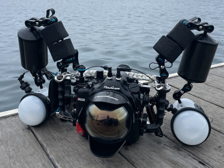 Revue sous-marine du Nikon Z9 en Australie : performances exceptionnelles dans les profondeurs