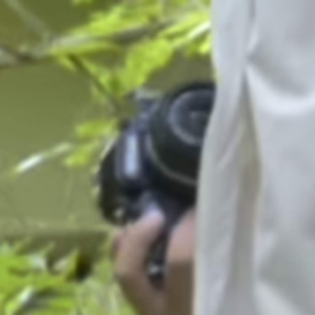 Fuite d'image du Nikon ZF avec objectif 40 mm f/2.8 SC : Un Aperçu Anticipé du Nouveau Prodige de Nikon