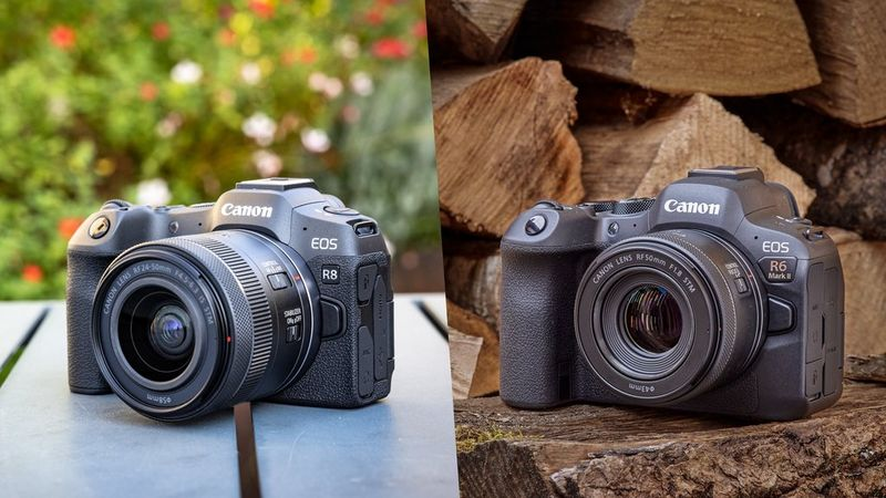 Canon EOS R6 vs EOS R8 : une rapide comparaison en 10 points