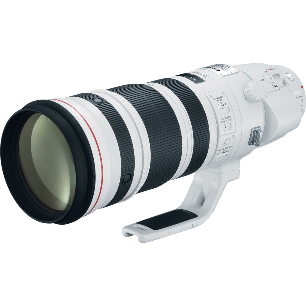 Annonce Imminente de Canon : Le Zoom Étendu RF 200-800mm f/6.3-9 IS STM